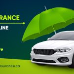 Car Insurance Quotes in 2024