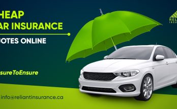 Car Insurance Quotes in 2024